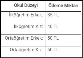 ptt şartlı eğitim yardımı sorgulama