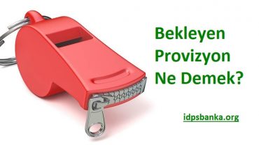 provizyon ne demek