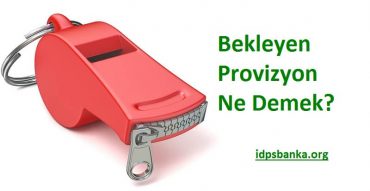 provizyon ne demek